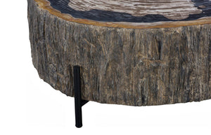 Phillips Collection Chaka Genuine Petrified Wood Coffee Table with Black Metal Legs for Modern Living ID119994