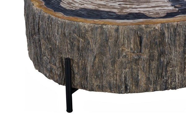 Phillips Collection Chaka Genuine Petrified Wood Coffee Table with Black Metal Legs for Modern Living ID119994
