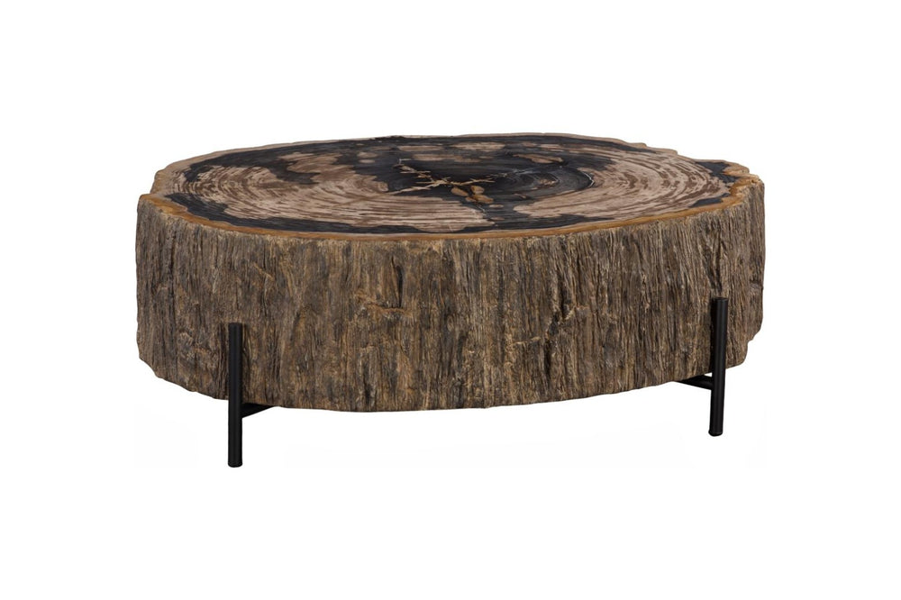 Phillips Collection Chaka Genuine Petrified Wood Coffee Table with Black Metal Legs for Modern Living ID119994