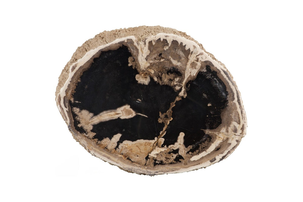 Phillips Collection Chaka Petrified Stool - Sculptural Cream Accent Table with Organic Design for Modern Interiors ID119997