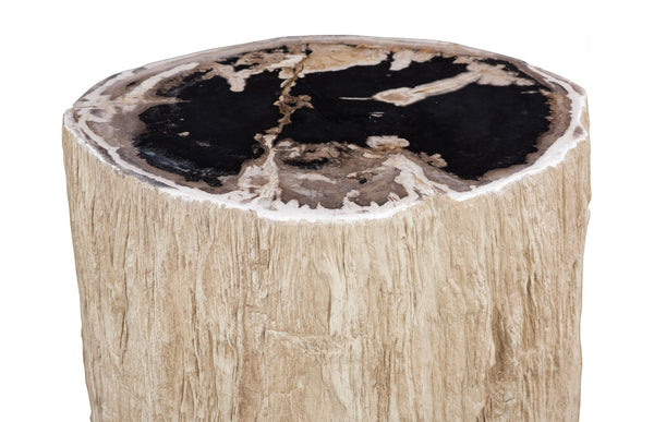 Phillips Collection Chaka Petrified Stool - Sculptural Cream Accent Table with Organic Design for Modern Interiors ID119997