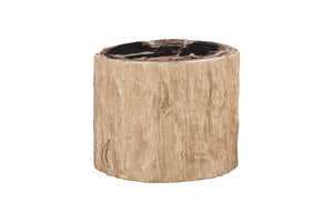 Phillips Collection Chaka Petrified Stool - Sculptural Cream Accent Table with Organic Design for Modern Interiors ID119997