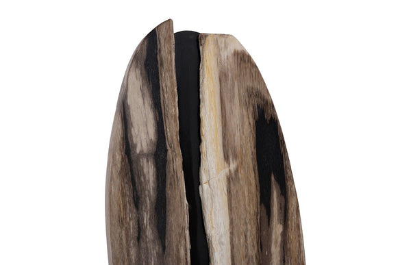 Phillips Collection Petrified Fracture Table Top Sculpture – Unique Natural Wood Art with Modern Metal Base for Home Decor ID120002