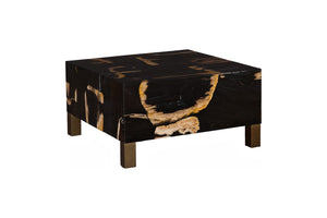 Phillips Collection Petramosaic Coffee Table - Unique Petrified Wood Top with Elegant Brass Legs for Modern Living Spaces ID120003