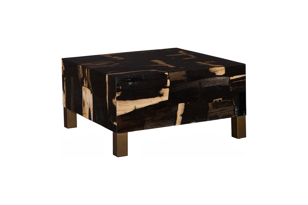Phillips Collection Petramosaic Coffee Table - Unique Petrified Wood Top with Elegant Brass Legs for Modern Living Spaces ID120003