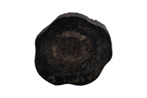 Phillips Collection Chaka Sculptural Coffee Table with Petrified Wood Top and Resin Bark Sides for Elegant Living Spaces Rough, Black, Tall ID120004
