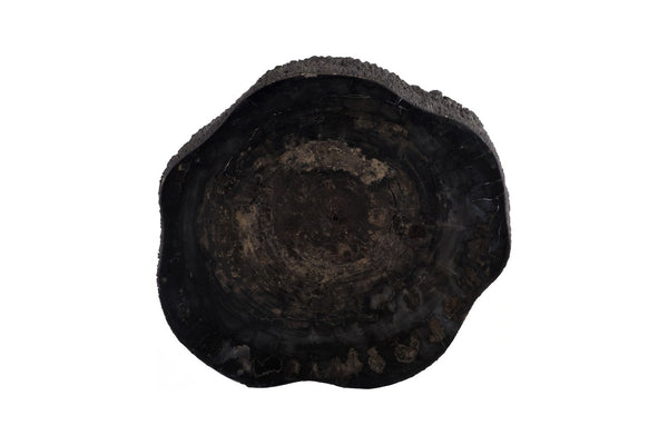 Phillips Collection Chaka Sculptural Coffee Table with Petrified Wood Top and Resin Bark Sides for Elegant Living Spaces Rough, Black, Tall ID120004