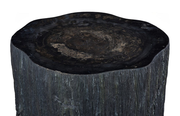 Phillips Collection Chaka Sculptural Coffee Table with Petrified Wood Top and Resin Bark Sides for Elegant Living Spaces Rough, Black, Tall ID120004