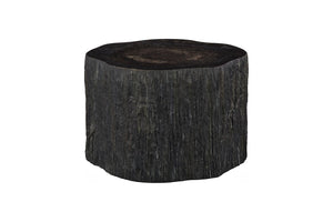 Phillips Collection Chaka Sculptural Coffee Table with Petrified Wood Top and Resin Bark Sides for Elegant Living Spaces Rough, Black, Tall ID120004