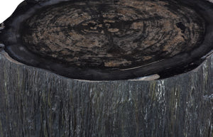 Phillips Collection Chaka Sculptural Coffee Table with Petrified Wood Top and Resin Bark Sides for Elegant Living Spaces Rough, Black, Short ID120005