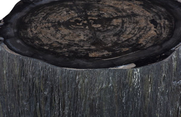 Phillips Collection Chaka Sculptural Coffee Table with Petrified Wood Top and Resin Bark Sides for Elegant Living Spaces Rough, Black, Short ID120005