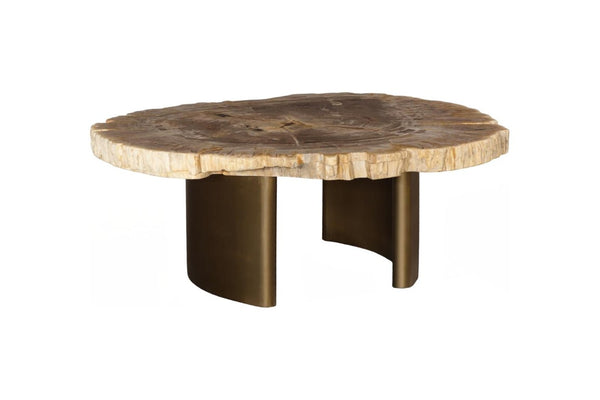 Phillips Collection Tero Genuine Petrified Wood Coffee Table with Polished Brass Legs for Modern Living ID121087