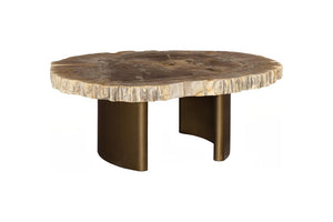 Phillips Collection Tero Genuine Petrified Wood Coffee Table with Polished Brass Legs for Modern Living ID121087