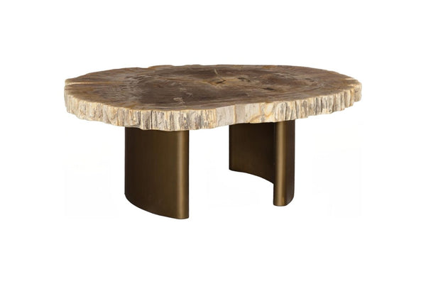 Phillips Collection Tero Genuine Petrified Wood Coffee Table with Polished Brass Legs for Modern Living ID121087