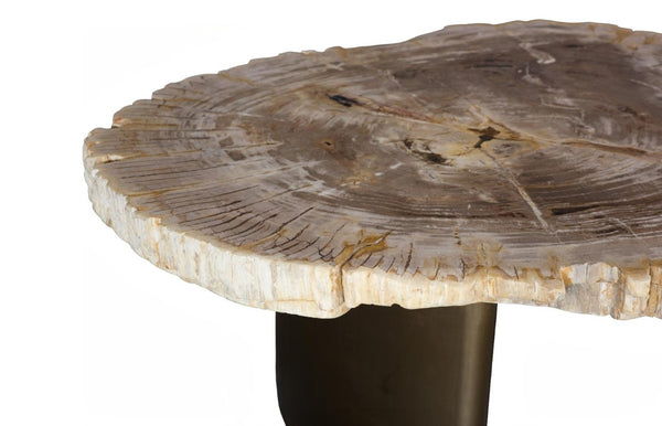 Phillips Collection Tero Genuine Petrified Wood Coffee Table with Polished Brass Legs for Modern Living ID121087