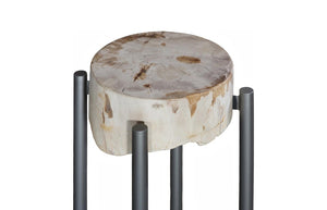 Phillips Collection Petrified Wood Side Table with Sculptural Metal Base Fossilized Grain Organic Accent Round Base Large ID121097