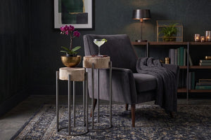 Phillips Collection Petrified Wood Side Table with Sculptural Metal Base Fossilized Grain Organic Accent Round Base Large ID121097