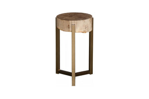 Phillips Collection Petrified Wood Side Table with Sculptural Metal Base Fossilized Grain Organic Accent Trident Base Large ID121099