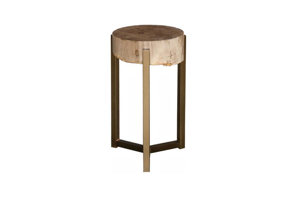 Phillips Collection Petrified Wood Side Table with Sculptural Metal Base Fossilized Grain Organic Accent Trident Base Large ID121099