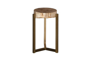 Phillips Collection Petrified Wood Side Table with Sculptural Metal Base Fossilized Grain Organic Accent Trident Base Large ID121099