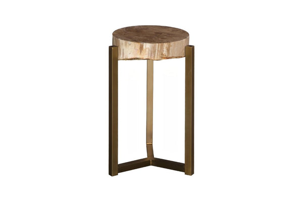 Phillips Collection Petrified Wood Side Table with Sculptural Metal Base Fossilized Grain Organic Accent Trident Base Large ID121099