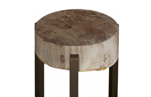 Phillips Collection Petrified Wood Side Table with Sculptural Metal Base Fossilized Grain Organic Accent Trident Base Large ID121099