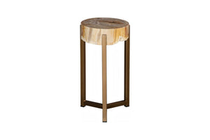 Phillips Collection Petrified Wood Side Table with Sculptural Metal Base Fossilized Grain Organic Accent Trident Base Medium ID121100