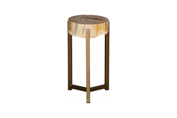 Phillips Collection Petrified Wood Side Table with Sculptural Metal Base Fossilized Grain Organic Accent Trident Base Medium ID121100