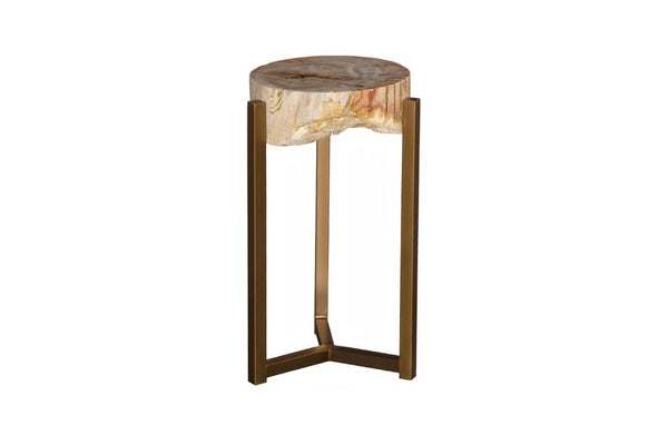 Phillips Collection Petrified Wood Side Table with Sculptural Metal Base Fossilized Grain Organic Accent Trident Base Medium ID121100