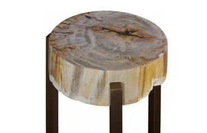 Phillips Collection Petrified Wood Side Table with Sculptural Metal Base Fossilized Grain Organic Accent Trident Base Medium ID121100