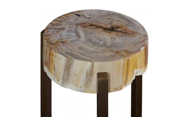 Phillips Collection Petrified Wood Side Table with Sculptural Metal Base Fossilized Grain Organic Accent Trident Base Medium ID121100