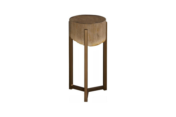 Phillips Collection Petrified Wood Side Table with Sculptural Metal Base Fossilized Grain Organic Accent Trident Base Small ID121101