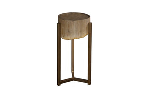 Phillips Collection Petrified Wood Side Table with Sculptural Metal Base Fossilized Grain Organic Accent Trident Base Small ID121101