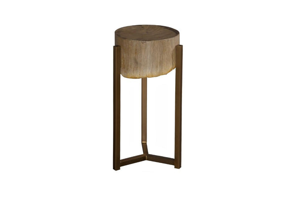 Phillips Collection Petrified Wood Side Table with Sculptural Metal Base Fossilized Grain Organic Accent Trident Base Small ID121101
