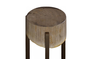 Phillips Collection Petrified Wood Side Table with Sculptural Metal Base Fossilized Grain Organic Accent Trident Base Small ID121101