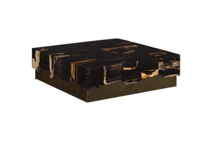 Phillips Collection Petramosaic Petrified Wood Square Coffee Table with Warm Brass Base for Modern Living ID121105