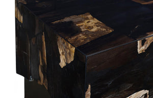 Phillips Collection Petramosaic Petrified Wood Side Table with Brass Base for Modern Living Spaces ID121106