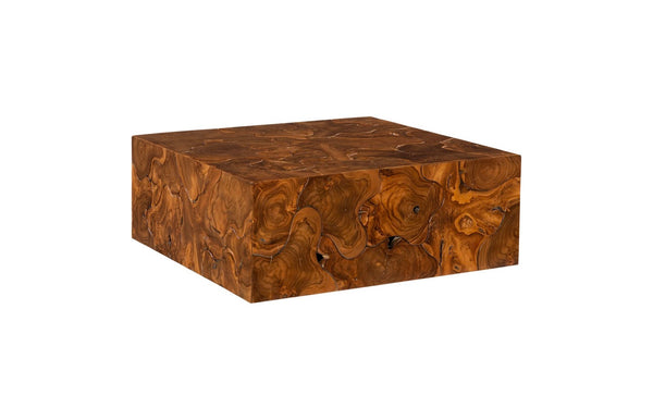 Phillips Collection Teak Slice Coffee Table - Handcrafted Reclaimed Wood with Modern Stainless Steel Base for Elegance Square ID65145