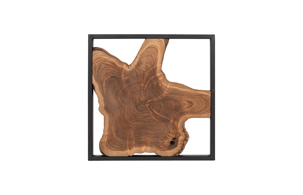 Phillips Collection Framed Modern Organic Teak Wood Wall Tile in Sleek Black Metal Frame - Perfect for Any Décor! ID65155