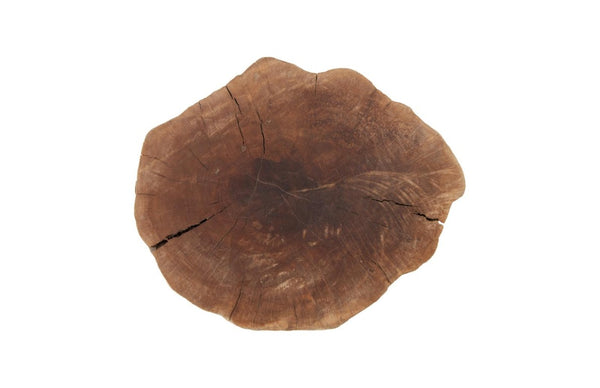 Phillips Collection Longan Wood Organic Accent Stool Solid Hardwood Sculptural Seating for Living Room Decor ID75188
