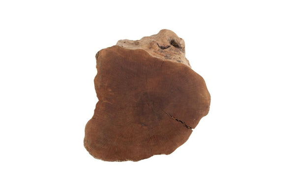 Phillips Collection Longan Wood Organic Accent Stool Solid Hardwood Sculptural Seating for Living Room Decor ID75188