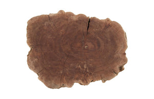 Phillips Collection Longan Wood Organic Accent Stool Solid Hardwood Sculptural Seating for Living Room Decor ID75188