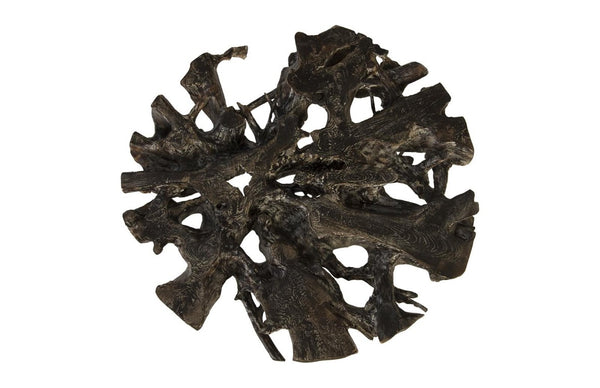 Phillips Collection Flux Solid Teak Root Slab Coffee Table with Black Wash Finish and Iron Legs ID85099
