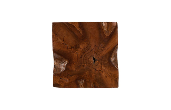 Phillips Collection Teak Root Side Table - Handcrafted Unique Accent Piece in Warm Brown for Modern & Farmhouse Decor ID86064