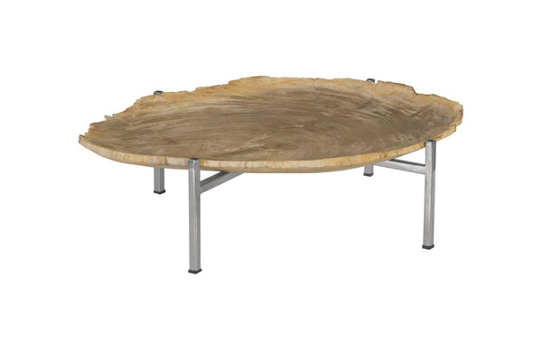 Phillips Collection Petrified Wood Slab Tray on Stainless Steel Base Fossilized Grain Accent Piece ID88055