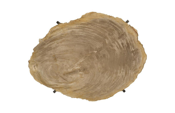 Phillips Collection Petrified Wood Slab Tray on Stainless Steel Base Fossilized Grain Accent Piece ID88055