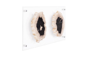 Phillips Collection Floating Petrified Wood Double Slice Acrylic Panel Wall Art Organic Modern Decor ID97237