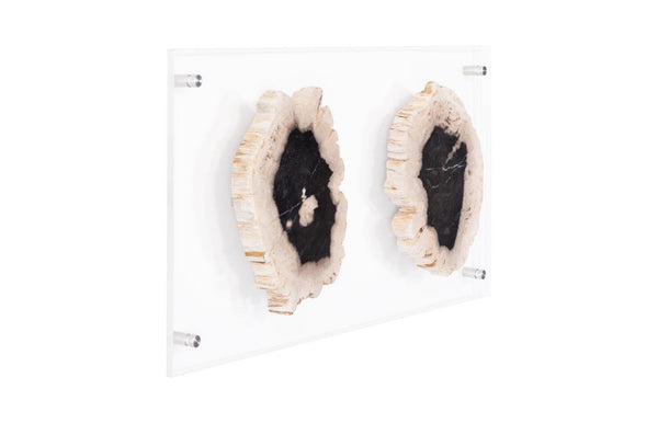 Phillips Collection Floating Petrified Wood Double Slice Acrylic Panel Wall Art Organic Modern Decor ID97237