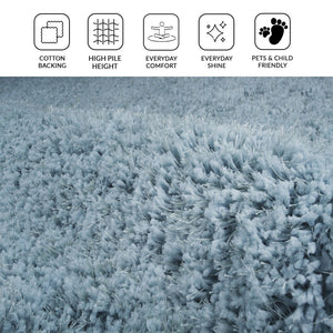 Illustrations Contemporary Shag Rug Plush Microfiber Pile for Living Room Bedroom Comfort