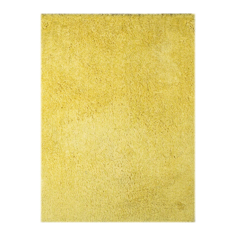 AMER Rugs Illustrations Plush Microfiber Shag Rug High Pile Soft Polyester Living Room Accent ILT60811